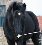 Louietargetting-180x300