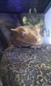 1508991_10152347941690923_8668757770518852602_n