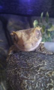 1926894_10152347941290923_316958633087075678_n